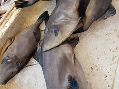 -芦潮港集贸市场