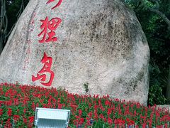 -野狸岛