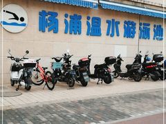 -杨浦温水游泳池