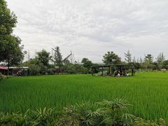 -洪湖家庭农场·团建·露营·会议