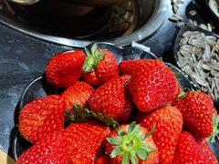 -果松木炭酸菜铜火锅·外婆参鸡汤