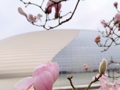 -国家大剧院