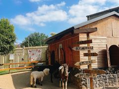 -HERRE·FARM 赫尔露营农场·团建聚会包场