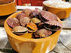 -龍歌自助小火锅(市北和达中心城店)