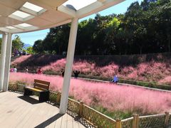 -牛岗山公园