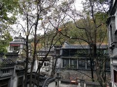 -老张烤羊(王哥庄店)