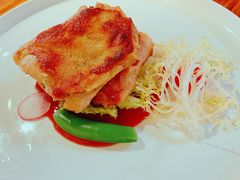 -more than meow吴止猫主题餐厅(承德 中船汇店)