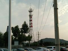 -羊亭河湿地公园