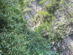 -龙水峡地缝景区