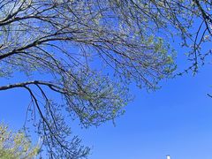 -成寿寺(地铁站)