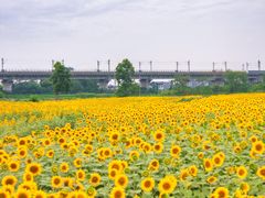 -关你鬼室大型密室逃脱(佛山创意园店)