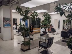 -Hair  Gallery