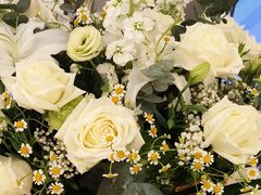 -松雷商业(南岗店)