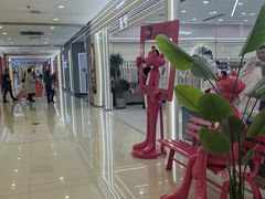 -肃宁华斯国际裘皮城
