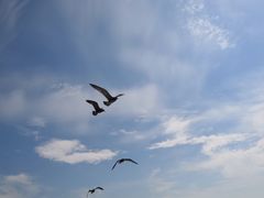 -海驴岛(荣成市)