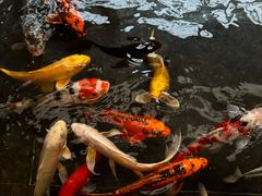 -天津海河悦榕庄·Lobby Lounge大堂吧