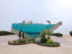 -朱家尖南沙景点