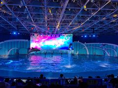 -海合安青岛极地海洋公园