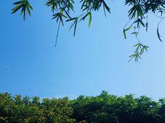 -浙江省中医院(钱塘院区)