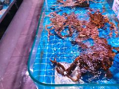 -阿里元海鲜·闽南特色菜(曾厝垵店)