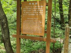 -本溪汤沟绿石谷森林公园