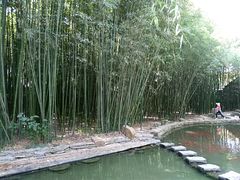 -竹泉村旅游度假区
