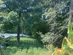 -野蔓果·山野菜(西湖景区·龙井茶田店)