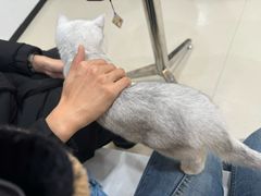 -共舞时光猫咖·狗咖(新街口店)