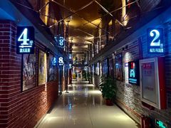 -华美国际影城(旧宫永辉店)