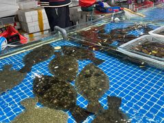 -登州市场(登州路店)