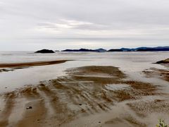 -北岐滩涂
