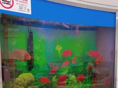 -雅悦齿科(顾村公园店)