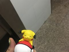-宠爱国际动物医院·疑难骨科·心肾内科·皮肤科(太阳宫店)