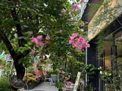 -花神·轻食简餐·咖啡馆·花卉绿植(荷兰花卉小镇店)