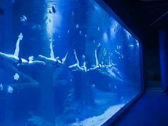 -临沂极地海洋王国