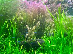 -上海海洋水族馆