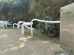 -苏州河梦清园环保主题公园