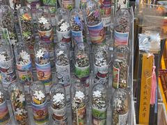 -笨罗卜浏阳菜馆(太平街店)