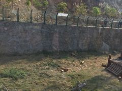 -泉州海丝野生动物世界