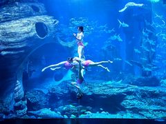-多彩贵州城极地海洋世界