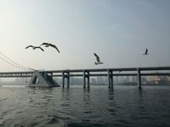 -星海湾跨海大桥
