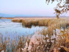 -野鸭湖国家湿地公园