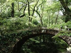 -天台山景区