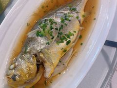 -骏莱海鲜鱼港(五角场店)