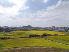 -光明小镇欢乐田园