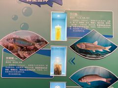 -天津自然博物馆