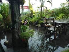 -自然餐厅(Phuket)