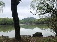 -天下玉苑
