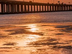 -宝安西湾红树林湿地公园