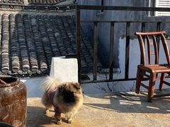 -铁炉咖啡(河下古镇店)